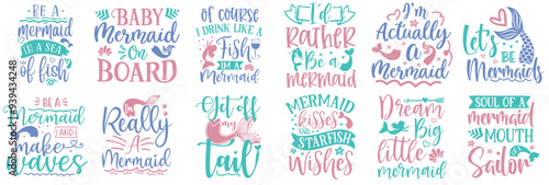 Simple Mermaid Trendy Retro Style Illustration, Labels And Badges Collection Vector Illustration for Banner, Vouchers, Magazine