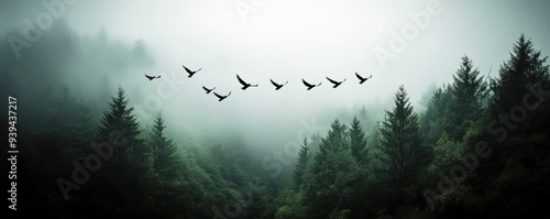 Group of birds flying above a dense forest, monochrome theme, twilight sky.