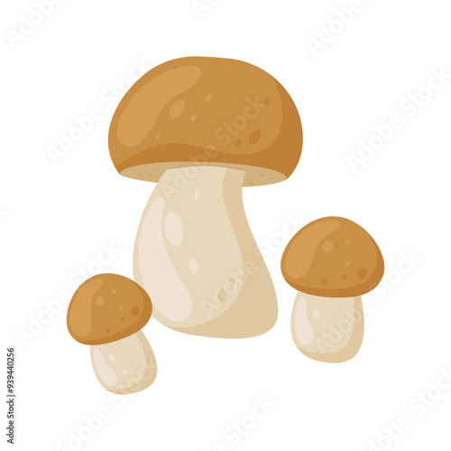 Cartoon mushrooms flat illustration isolated on white background. Forest. autumn and spring. Organic nature
