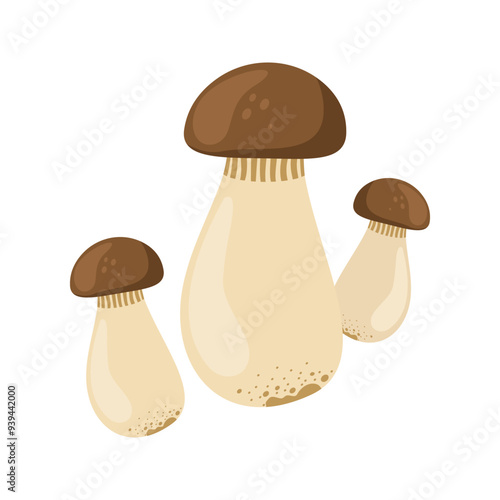Cartoon mushrooms flat illustration isolated on white background. Forest. autumn and spring. Organic nature