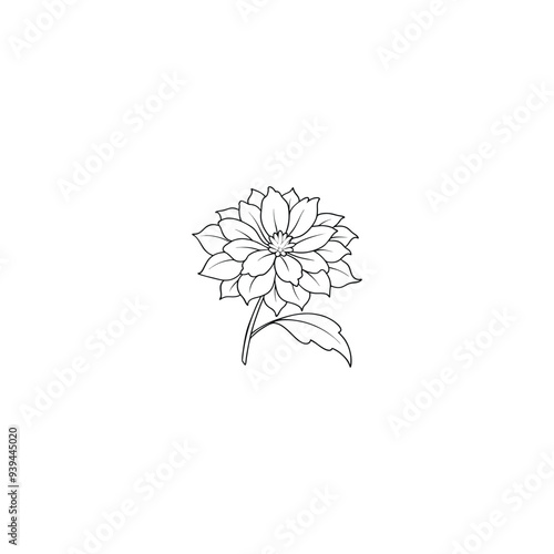 black and white flower