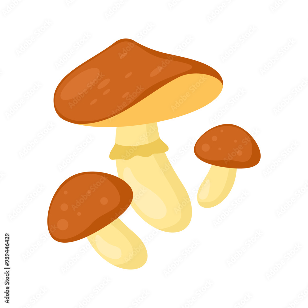 Cartoon mushrooms flat illustration isolated on white background. Forest. autumn and spring. Organic nature Cartoon mushrooms flat illustration isolated on white background. Forest. autumn and spring. Organic nature