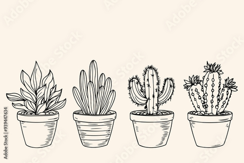 Set of Cacti succulent plants. Home plants one line ink sketch flowers in a pot decorative houseplant. Contour outline vector illustration