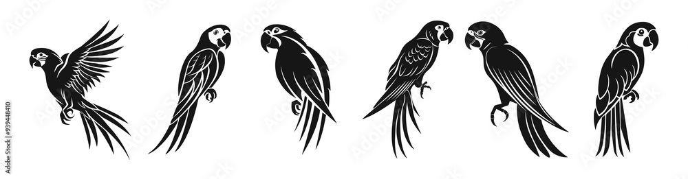 parrots vector set parrots vector set