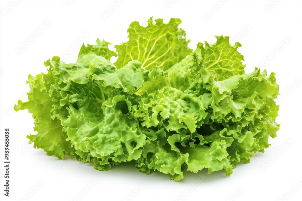 Fresh lettuce isolated on white background Fresh lettuce isolated on white background