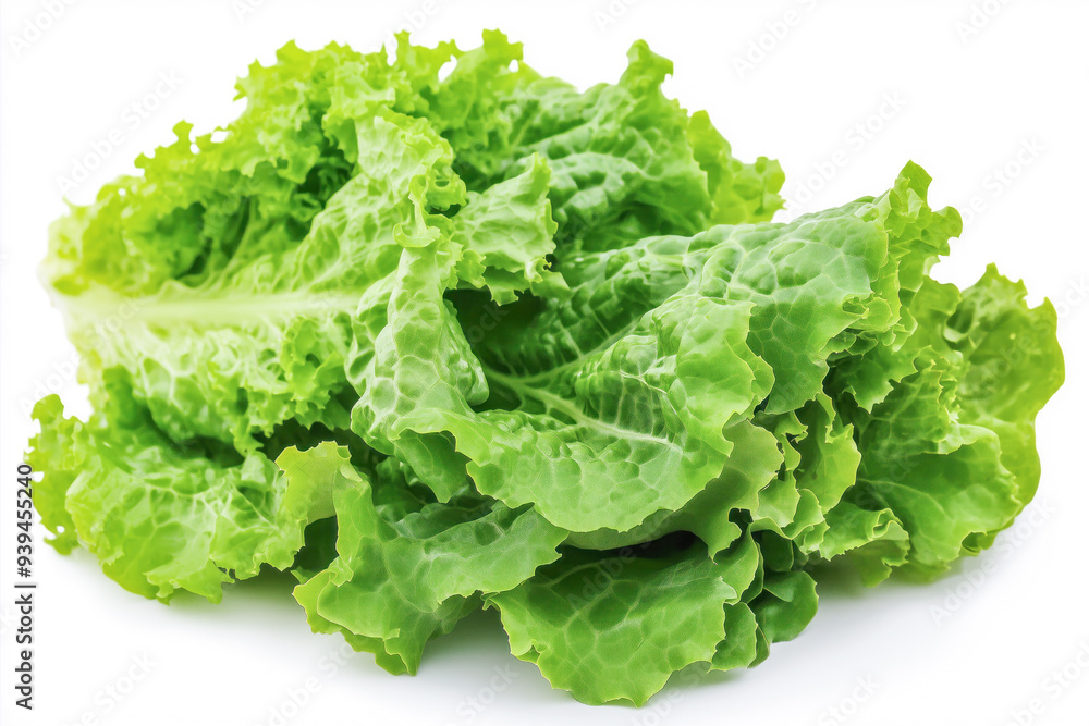 Isolated on a white backdrop, fresh lettuce Isolated on a white backdrop, fresh lettuce