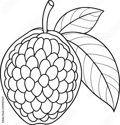 Atemoya fruit line art illustration black and white