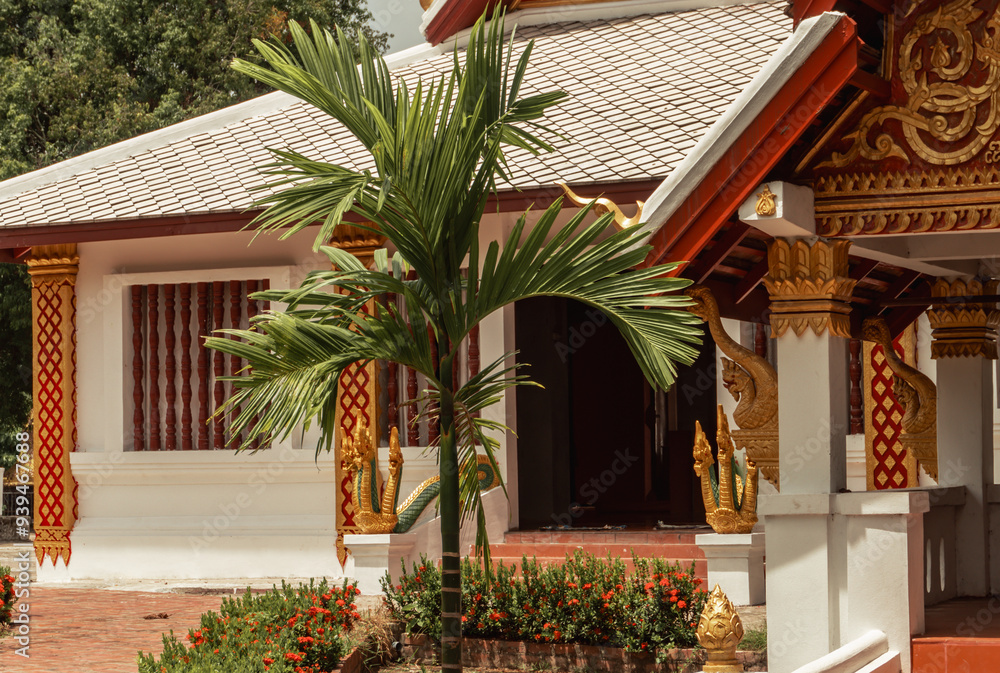 Fototapeta premium culture and Nature Travel Laos, highlights in Luang Prabang Province