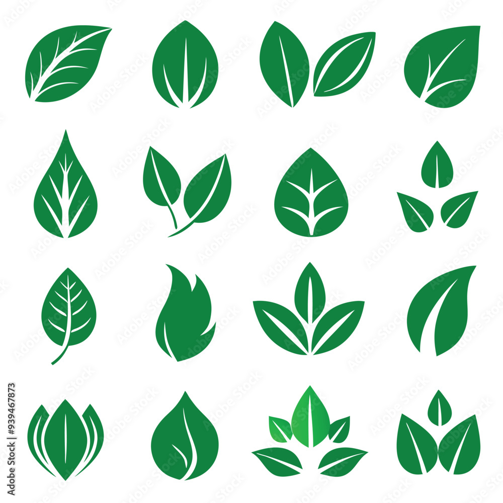 Set of different style simple tree leaves icon set vector illustrations on a white background Set of different style simple tree leaves icon set vector illustrations on a white background