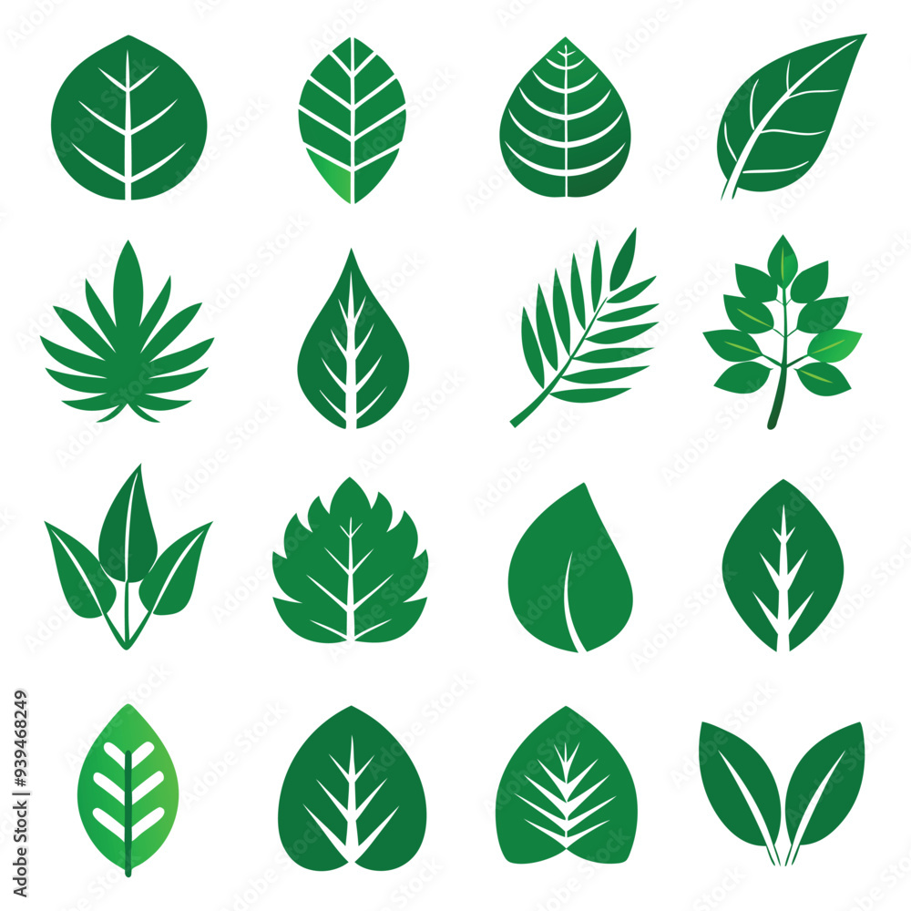 Set of different style simple tree leaves icon set vector illustrations on a white background Set of different style simple tree leaves icon set vector illustrations on a white background
