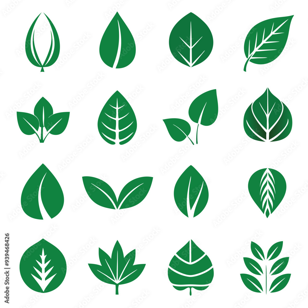 Set of different style simple tree leaves icon set vector illustrations on a white background Set of different style simple tree leaves icon set vector illustrations on a white background