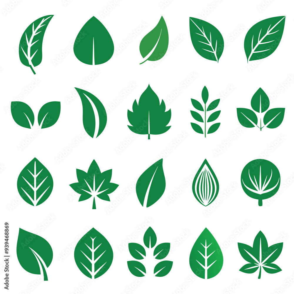 Set of different style simple tree leaves icon set vector illustrations on a white background Set of different style simple tree leaves icon set vector illustrations on a white background