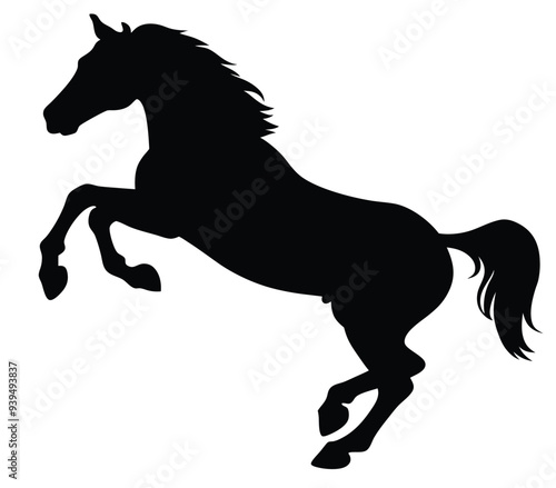 horse silhouette isolated on white