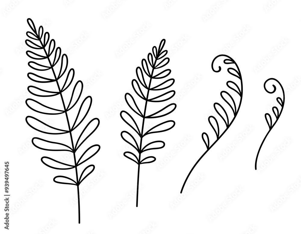 Fern leaf doodle drawing set