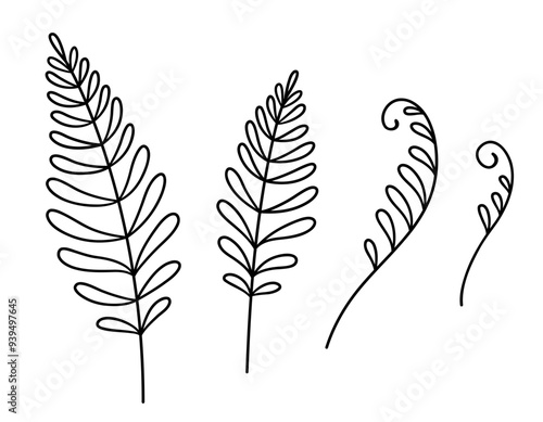 Fern leaf doodle drawing set