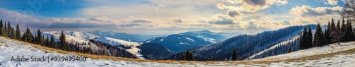 Snow-covered mountain landscape with tall trees under a bright winter sky