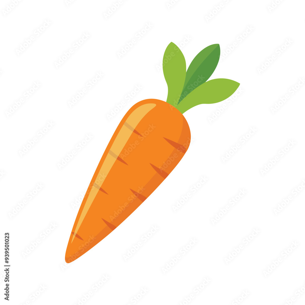 Carrot vector illustration on white background, Fresh vegetable isolated, Whole carrot vector illustration, Cartoon drawing of whole carrot isolated on white background. Food, nutrition, diet concept Carrot vector illustration on white background, Fresh vegetable isolated, Whole carrot vector illustration, Cartoon drawing of whole carrot isolated on white background. Food, nutrition, diet concept