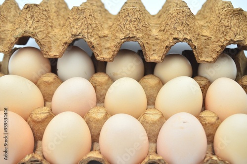 A close-up of two rows of eggs in a cardboard egg carton, showcasing their natural variations in color and texture. photo