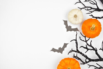 Halloween side border of spooky bats, black branches and pumpkins. Overhead view on a white background with copy space.