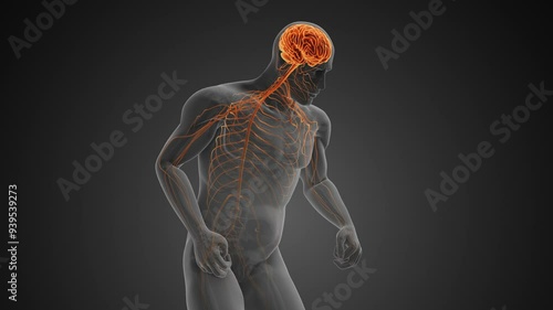 Neurodegenerative Disorder with Motor Dysfunction or Parkinson's disease