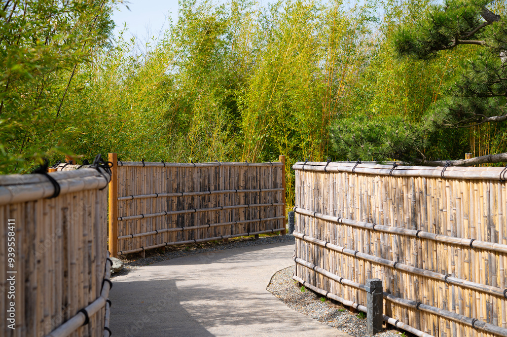 Bamboo fence in a vegetable garden. Bamboo fence in a vegetable garden.