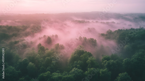 Serene Aerial View of Vast Forest Canopy at Sunrise with Mist and Pink Sky