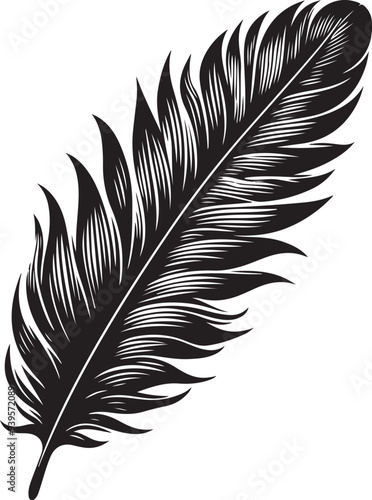 silhouette vector of feather