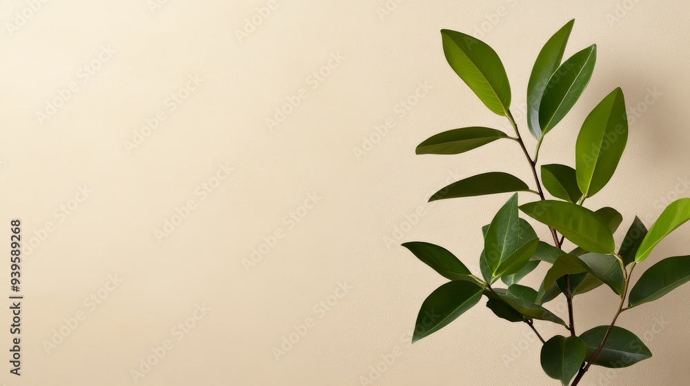 A sprig of vibrant green leaves extends gracefully from the right side of the frame, contrasting beautifully against a soft, beige background. The image evokes feelings of nature, freshness, growth, a A sprig of vibrant green leaves extends gracefully from the right side of the frame, contrasting beautifully against a soft, beige background. The image evokes feelings of nature, freshness, growth, a