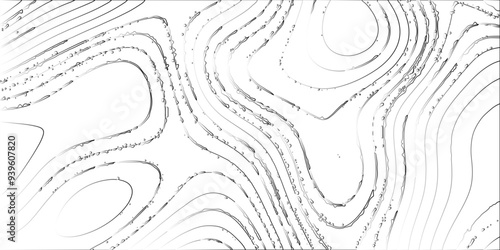 Topographic background for design black linear wave paper curved reliefs abstracts white background, Modern design with White background with topographic wavy pattern design. Fish Fillet Texture, 