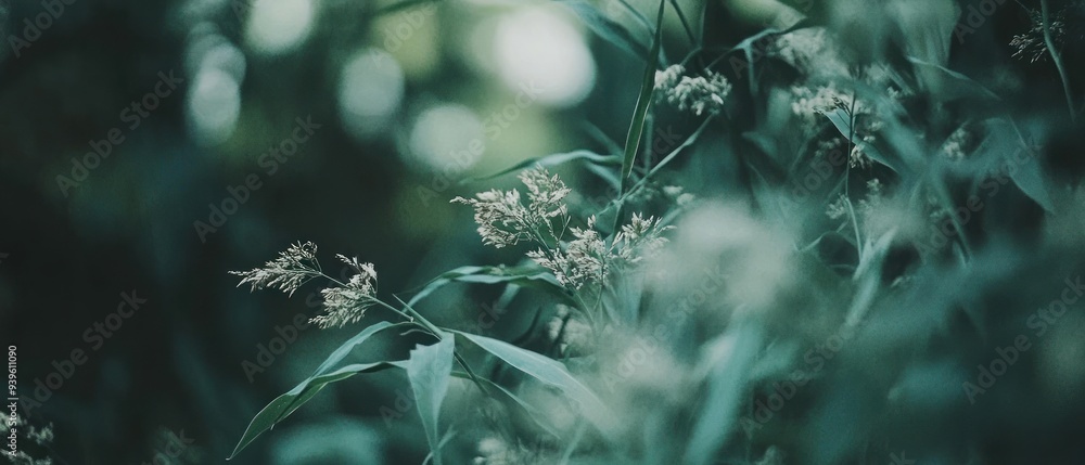 Fototapeta premium Delicate White Flowers Emerging from Green Foliage