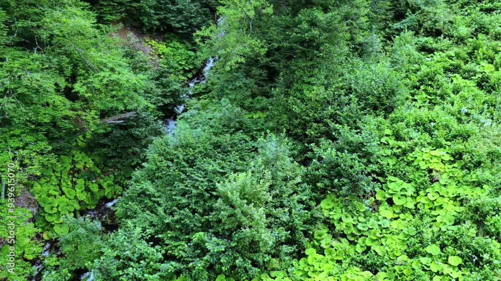 Top view of the forest from the funicular in the mountains. Mountain river. Top view of the forest from the funicular in the mountains. Mountain river.