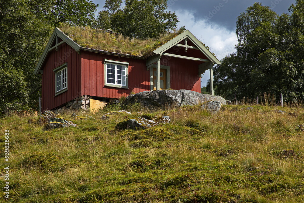 Fototapeta premium Old wooden cottage with green roof in Innerdalen valley, Norway, Europe
