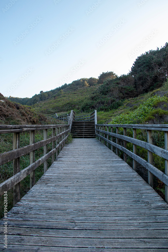 Wooden bridge or walkway that leads to the sea after a green forest. Freedom concept. Travel concept. Wooden bridge or walkway that leads to the sea after a green forest. Freedom concept. Travel concept.