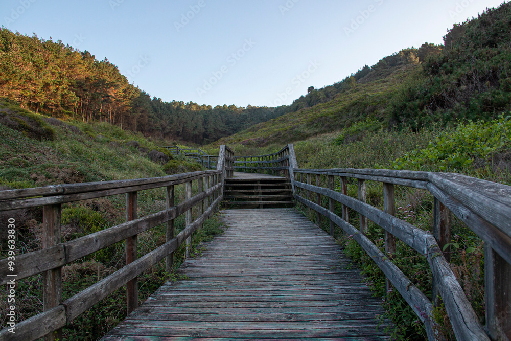 Wooden bridge or walkway that leads to the sea after a green forest. Freedom concept. Travel concept. Wooden bridge or walkway that leads to the sea after a green forest. Freedom concept. Travel concept.
