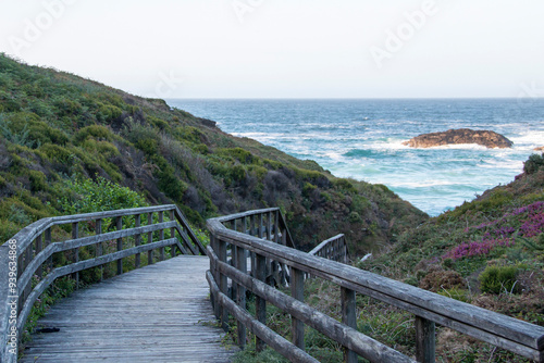 Wooden bridge or walkway that leads to the sea after a green forest. Freedom concept. Travel concept.