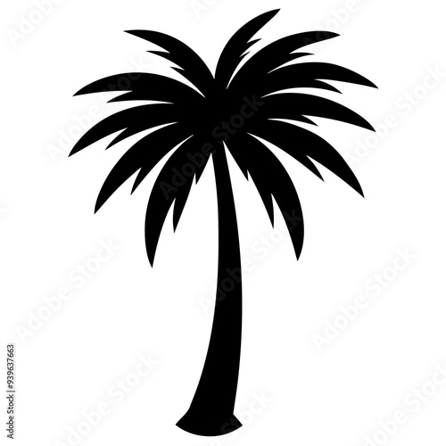 silhouette of palm tree