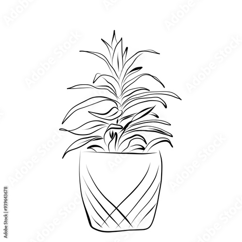 Line drawing. Line art plant in flowerpot. Vector