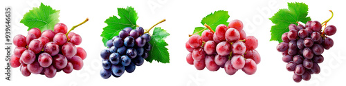 Juicy Grapes on Transparent Background: A vibrant collection of red and purple grape clusters with lush green leaves. Perfect for food, wine, health, and organic lifestyle imagery.