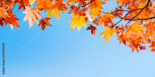 Fototapeta Naklejka Na Ścianę i Meble -  Vibrant autumn foliage leaves on trees, with a clear blue sky peeking through, free copy space for text