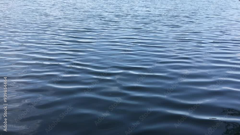 Tranquil Close-Up of Gentle Ripples on a Calm Water Surface, Reflecting Soft Natural Light and Subtle Movements in a Serene Outdoor Setting Tranquil Close-Up of Gentle Ripples on a Calm Water Surface, Reflecting Soft Natural Light and Subtle Movements in a Serene Outdoor Setting