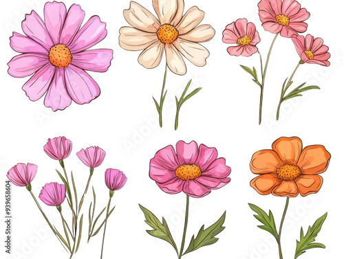 Wallpaper Mural A collection of colorful flowers featuring pink, white, and orange blooms, ideal for nature-themed designs and illustrations. Torontodigital.ca