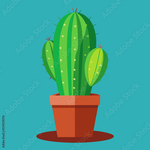cactus in a pot