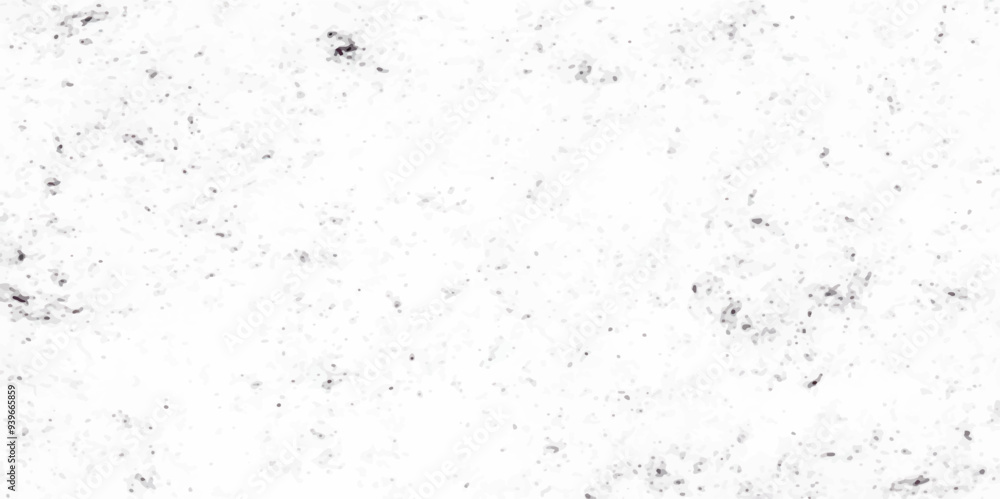Grunge background texture black white grunge, Chaotic grunge ink particles. Abstract texture with grain and stain. Splashes of paint Grunge background texture black white grunge, Chaotic grunge ink particles. Abstract texture with grain and stain. Splashes of paint