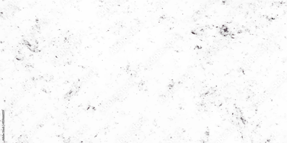 Grunge background texture black white grunge, Chaotic grunge ink particles. Abstract texture with grain and stain. Splashes of paint Grunge background texture black white grunge, Chaotic grunge ink particles. Abstract texture with grain and stain. Splashes of paint