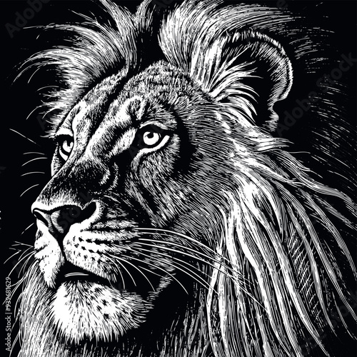 Obraz na płótnie African lion engraved vector w salonie
