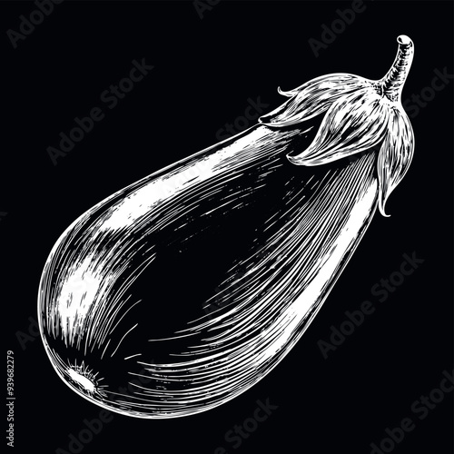 Obraz na płótnie Aubergine engraved vector w salonie