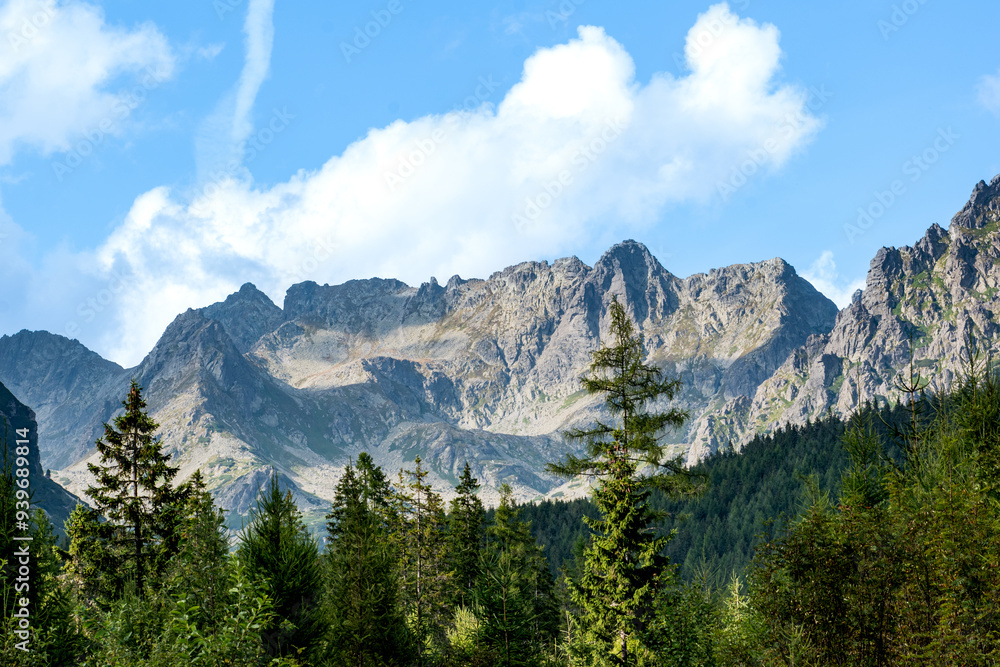 Three colour of nature shape the beautiful blue sky with some grey and brown mountains in the High Tatras, Slovakia and the resistless green pine forest Three colour of nature shape the beautiful blue sky with some grey and brown mountains in the High Tatras, Slovakia and the resistless green pine forest
