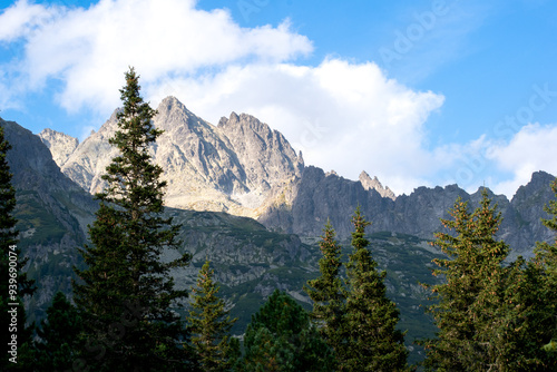 Slovakia High Tatras mountains in summer the rock side beautiful landscape view form the forest