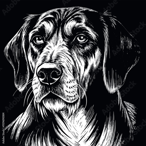 Obraz na płótnie bloodhound-dog-hand-drawn engraved vector w salonie