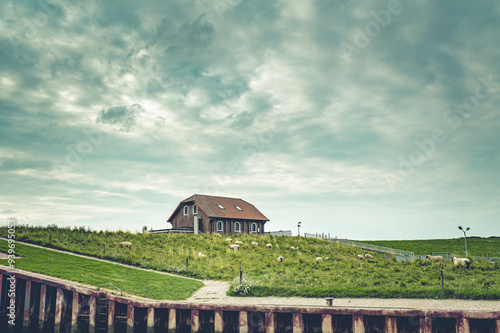 Schleusenhaus an der Nordsee mit Schafen photo